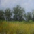 Landscape Pastel Painting